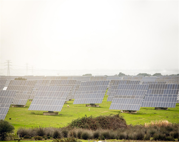 【重磅發(fā)布】2025年、2026年可再生能源電力消納責(zé)任權(quán)重和重點(diǎn)用能行業(yè)綠色電力消費(fèi)比例